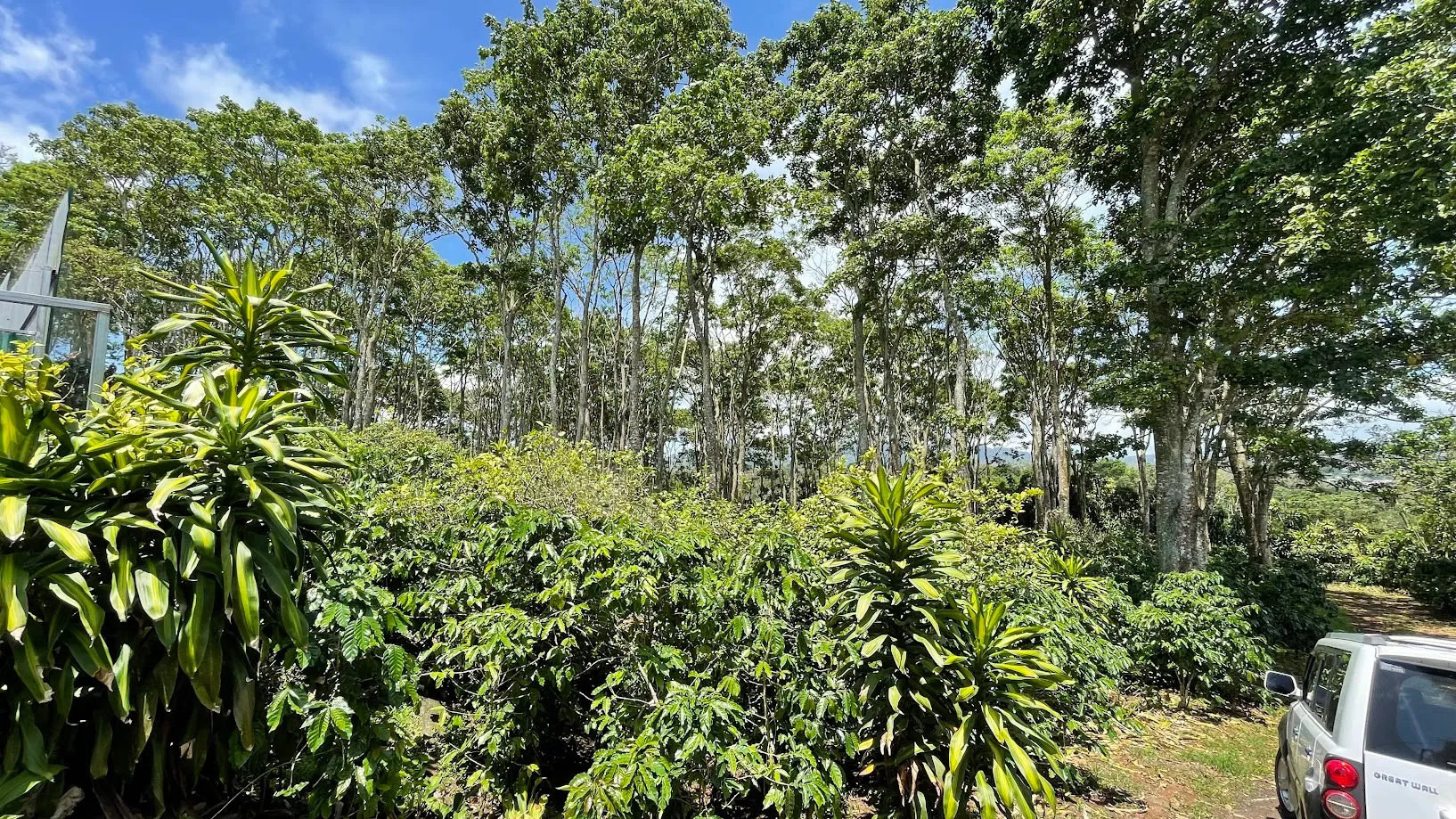 LOT FOR SALE IN SAN ISIDRO, SAN RAMON - image 6