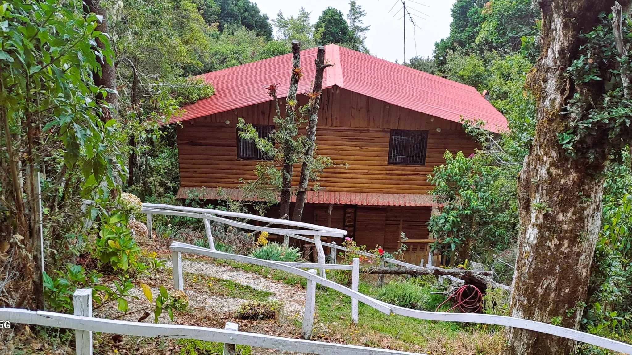 COZY MOUNTAIN RETREAT COTTAGE - image 1