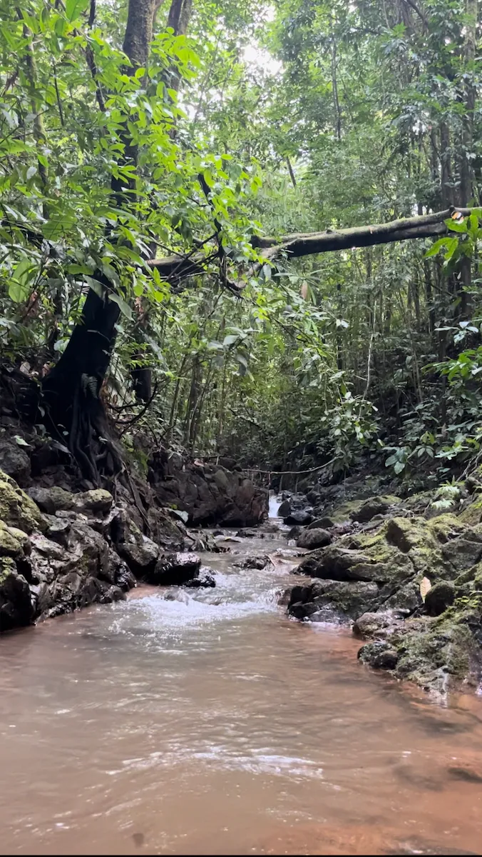  Spectacular Ecological Mountain Farm in Bijagual - image 3