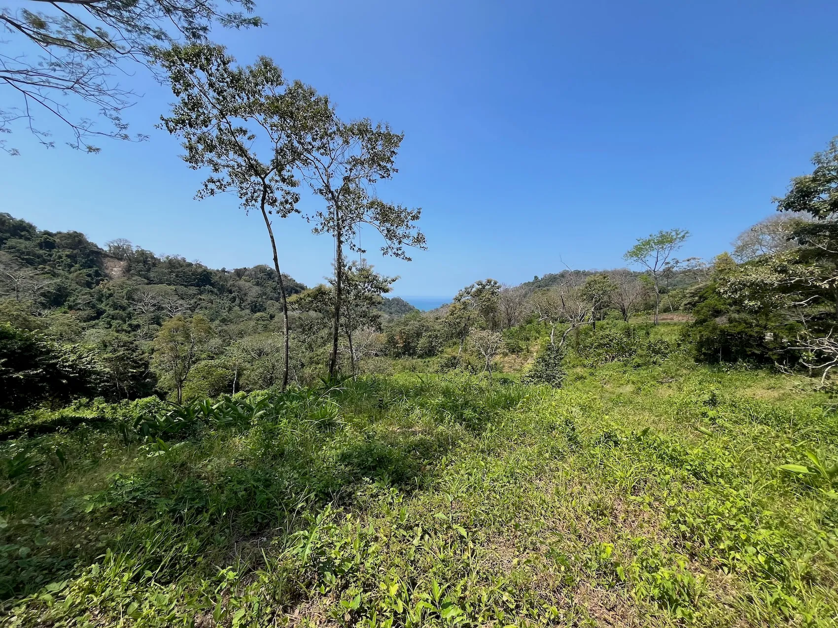 10,000m² Ocean-View Lot in Gated Community – 15 Minutes from Santa Teresa - image 4