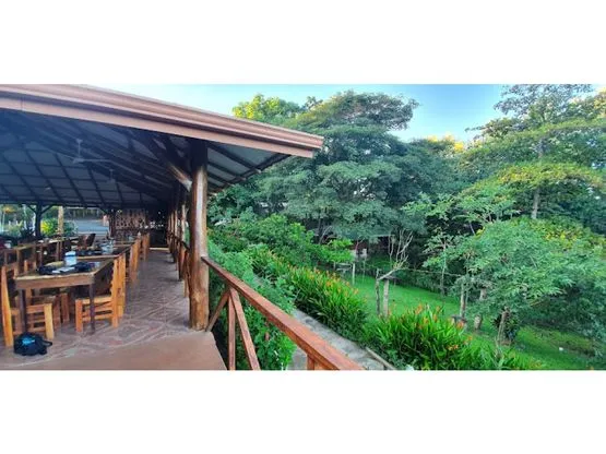  The Best Hotel in The Country For Bird Watching - image 9