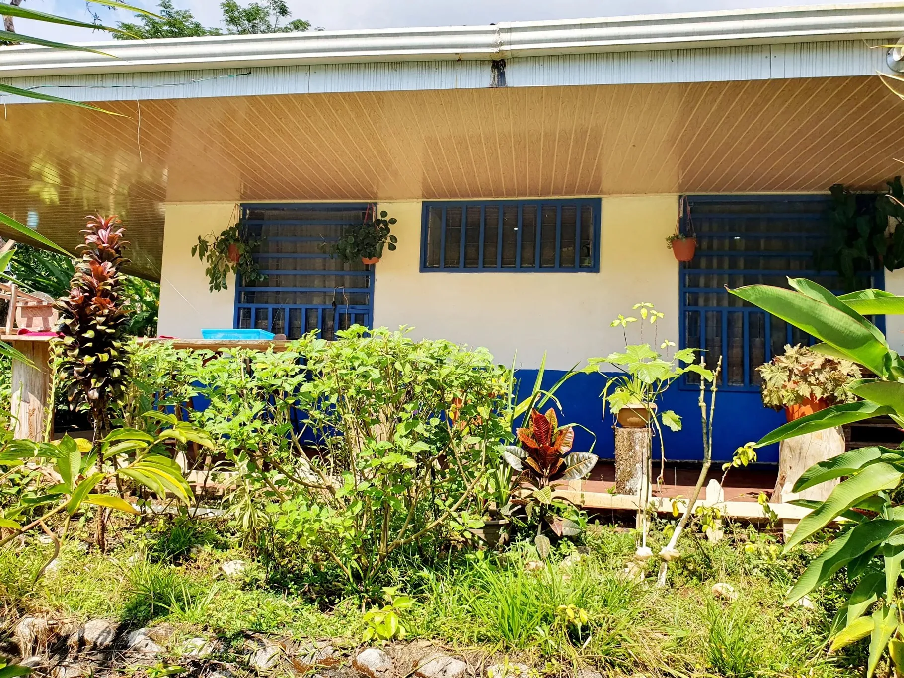 Land to develop a country lifestyle! - image 2