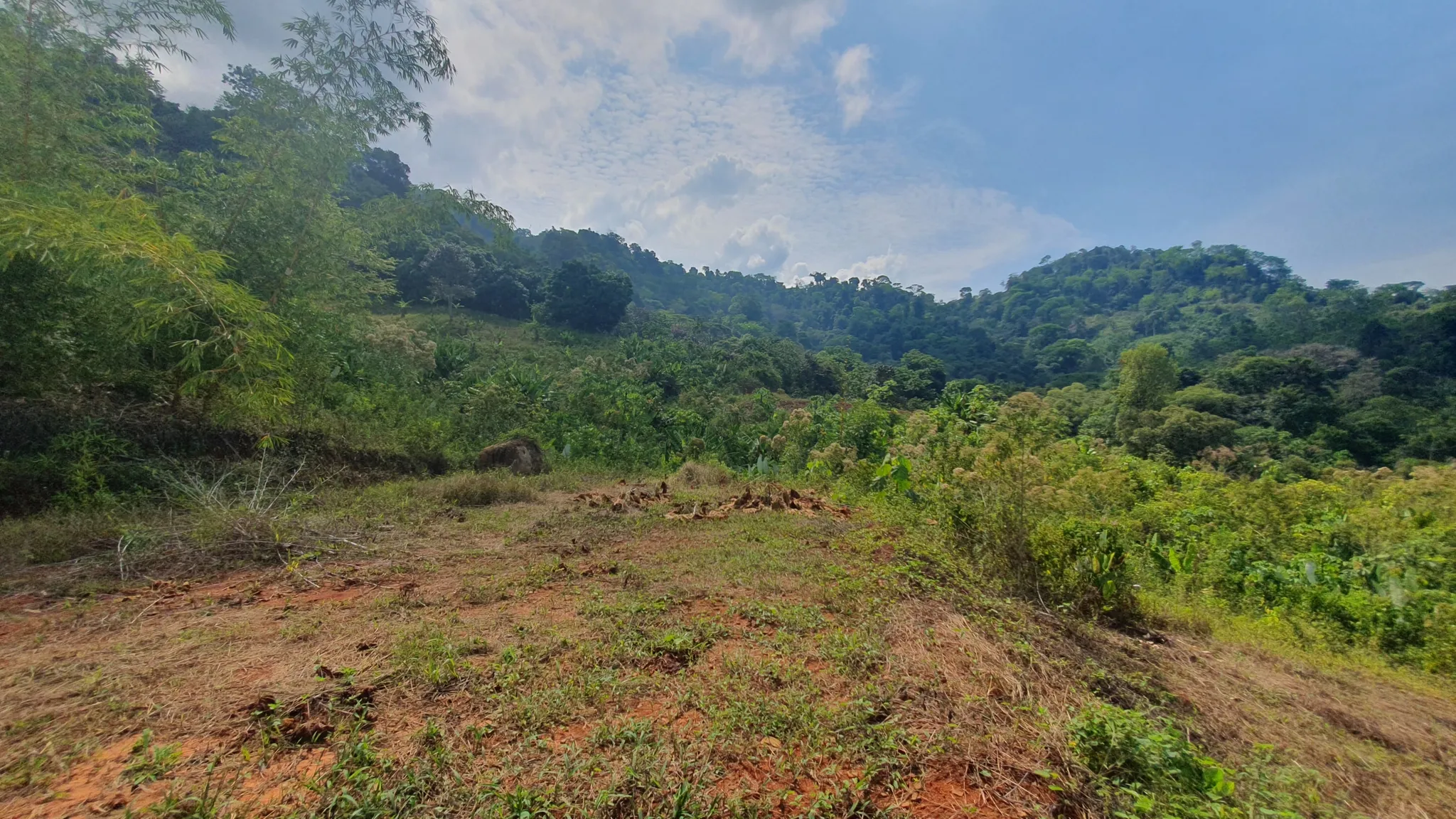 PEACEFUL AND PRIVATE LAND IN PUNTA MALA, OJOCHAL - image 11