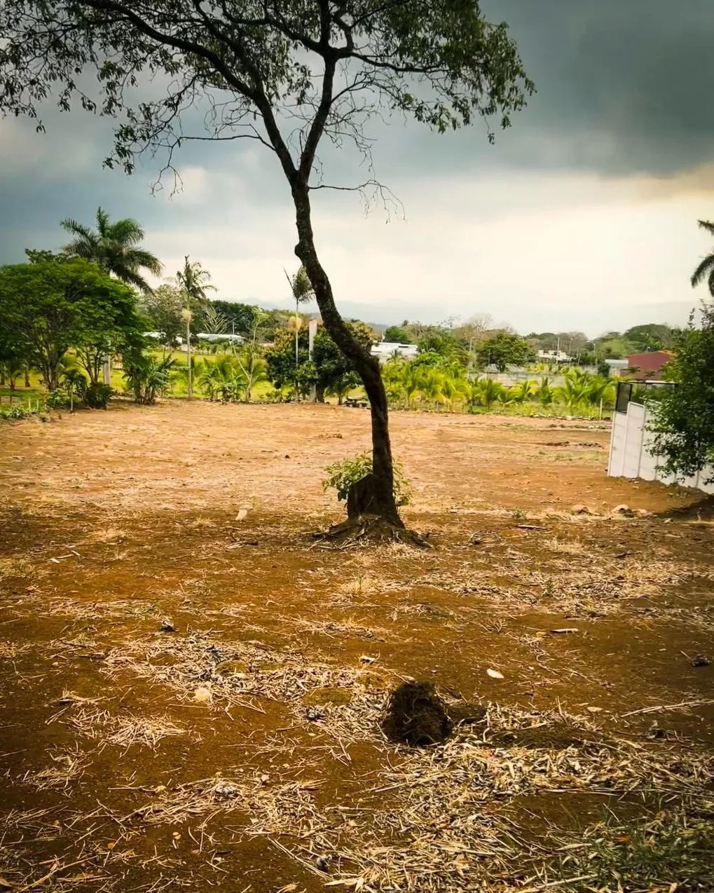 Lot Of Land in La Garita, Alajuela – Nature and Potential for Your Life Project 3,071 m2 - image 4