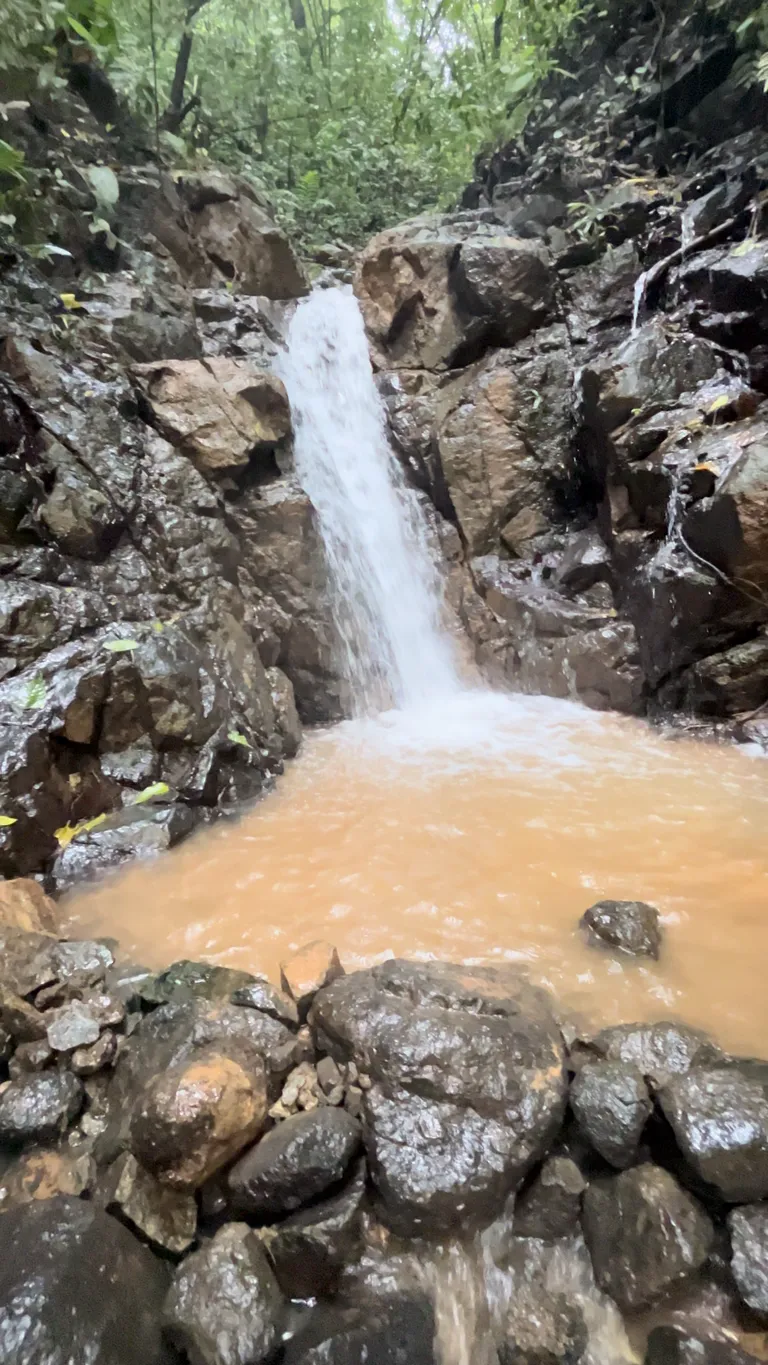  Spectacular Ecological Mountain Farm in Bijagual - image 2