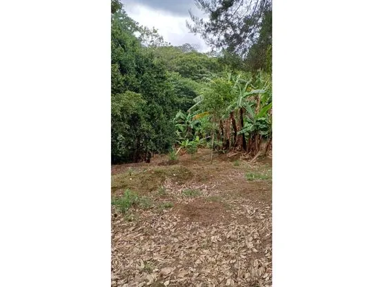 Lot for Sale in Santa Bárbara de Heredia - image 9