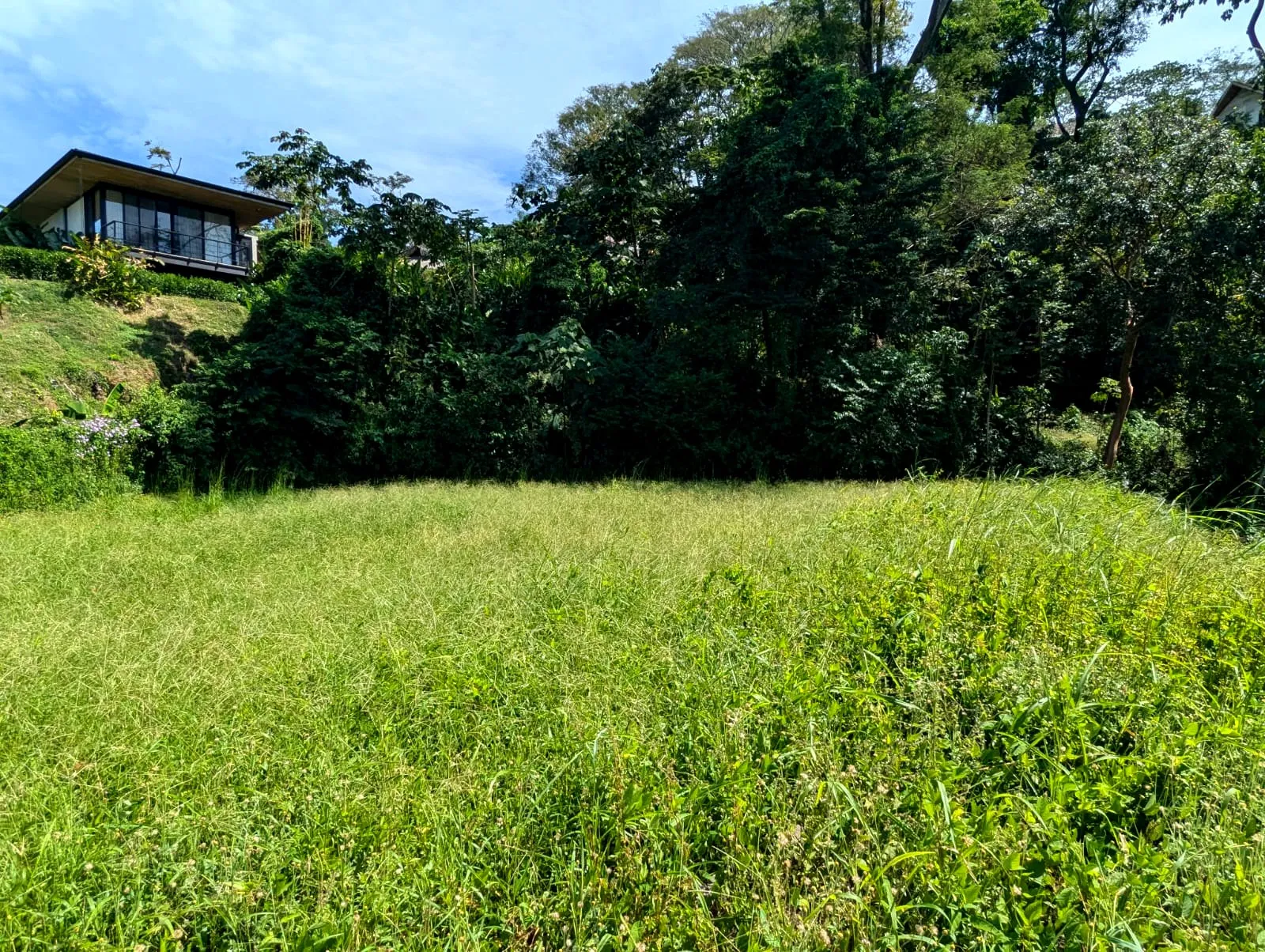 Ocean View Lot in Mal Pais - image 5