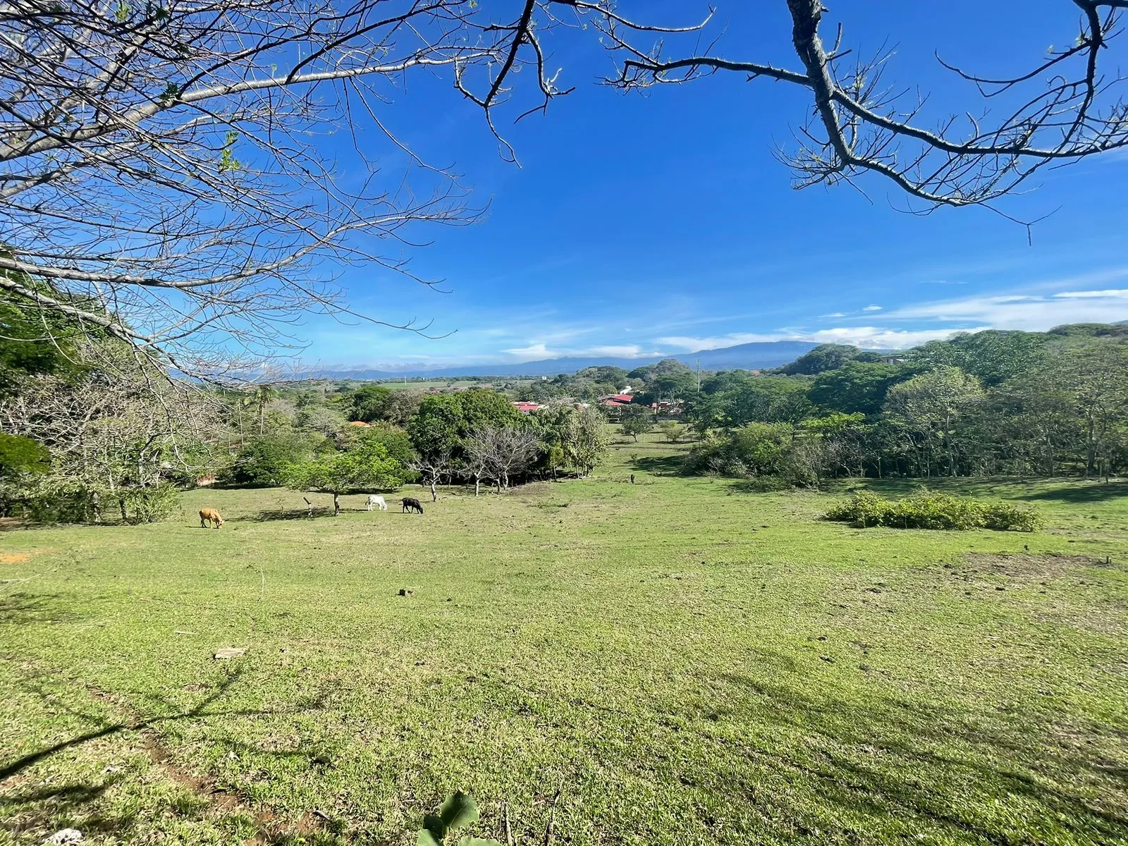 For Sale: Land for Development in Santa Ana - image 8