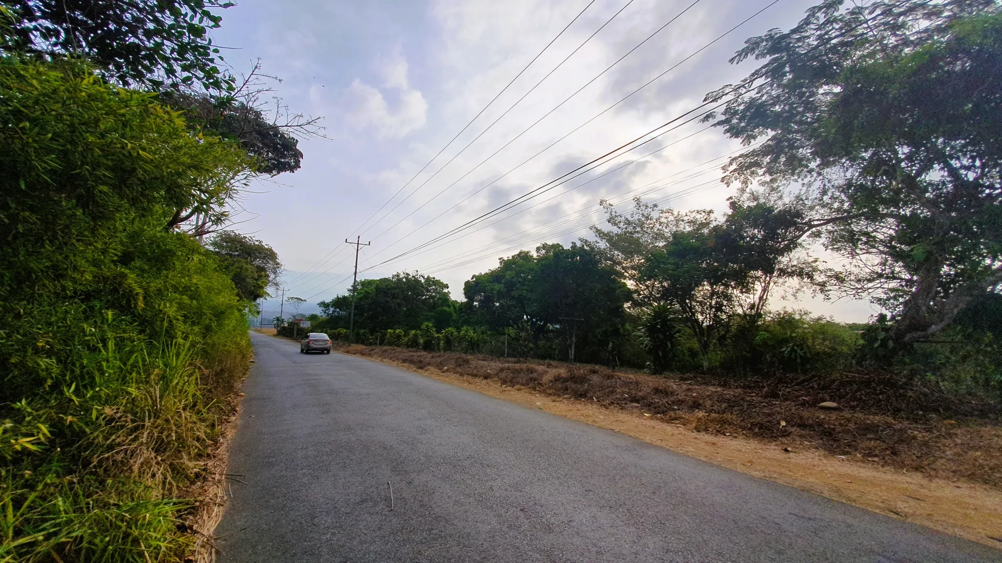 FRUIT TREE PROPERTY IN PEREZ ZELEDON, COSTA RICA - image 8