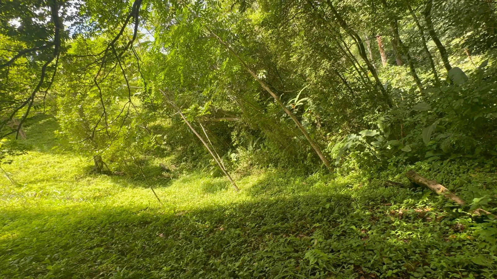 Build Your Future in Turrubares: Nature, Development, and Quality of Life - image 7