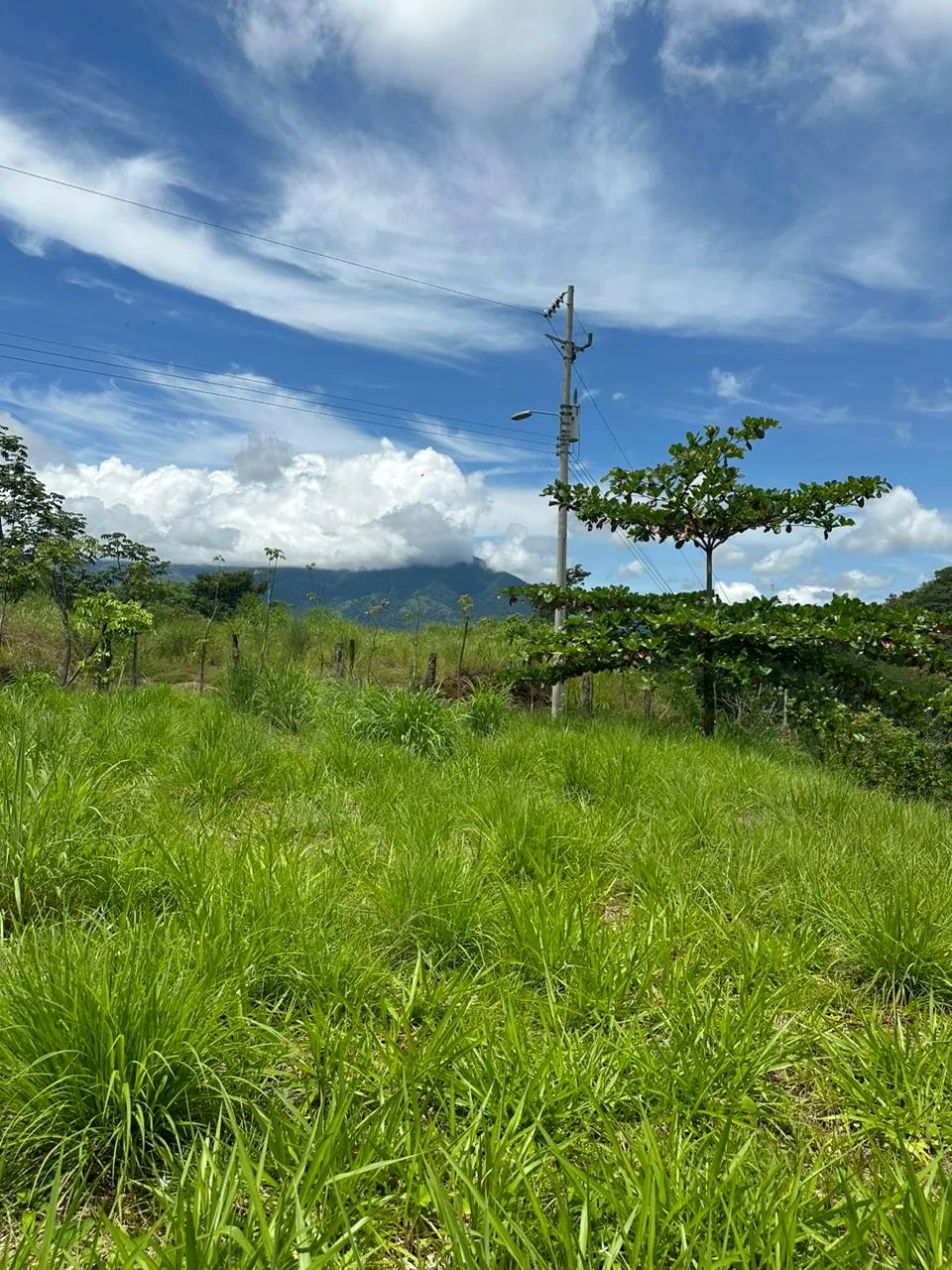 Build Your Future in Turrubares: Nature, Development, and Quality of Life - image 13