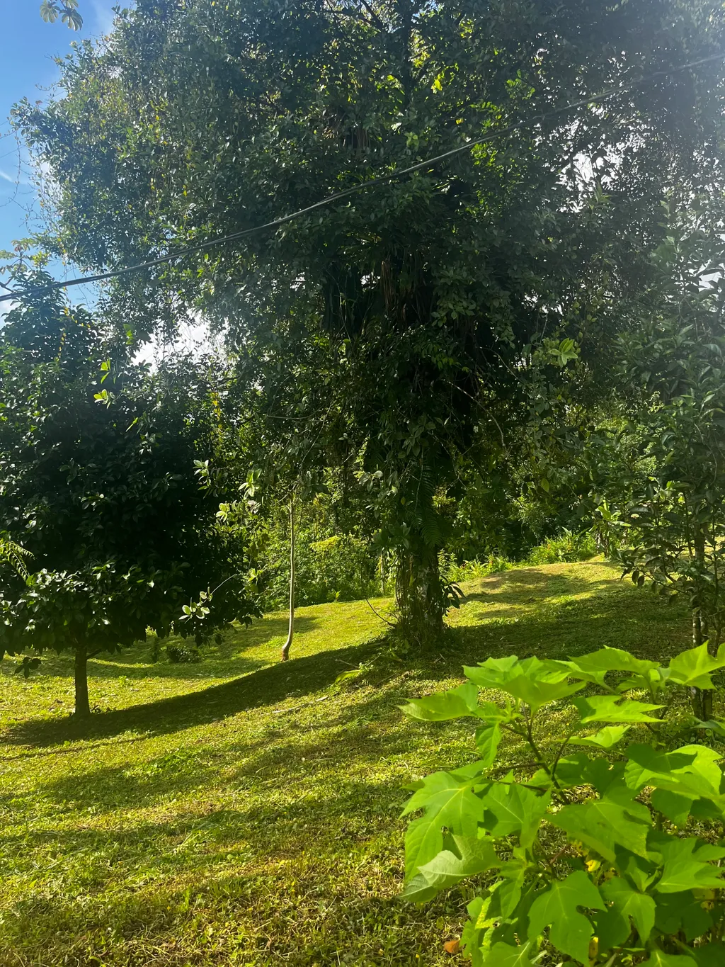  Spectacular Ecological Mountain Farm in Bijagual - image 7