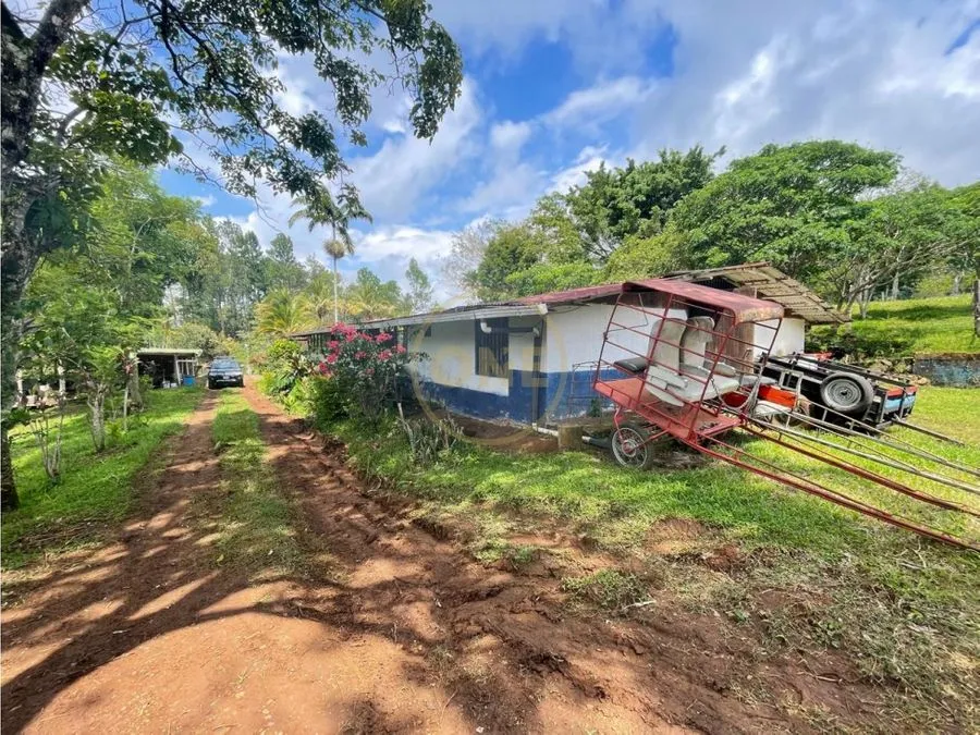 Venta Finca Puriscal - image 7