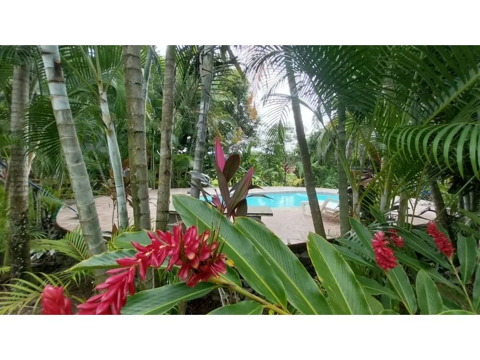  Beautiful House In Gated Community In Playa Azul - image 4