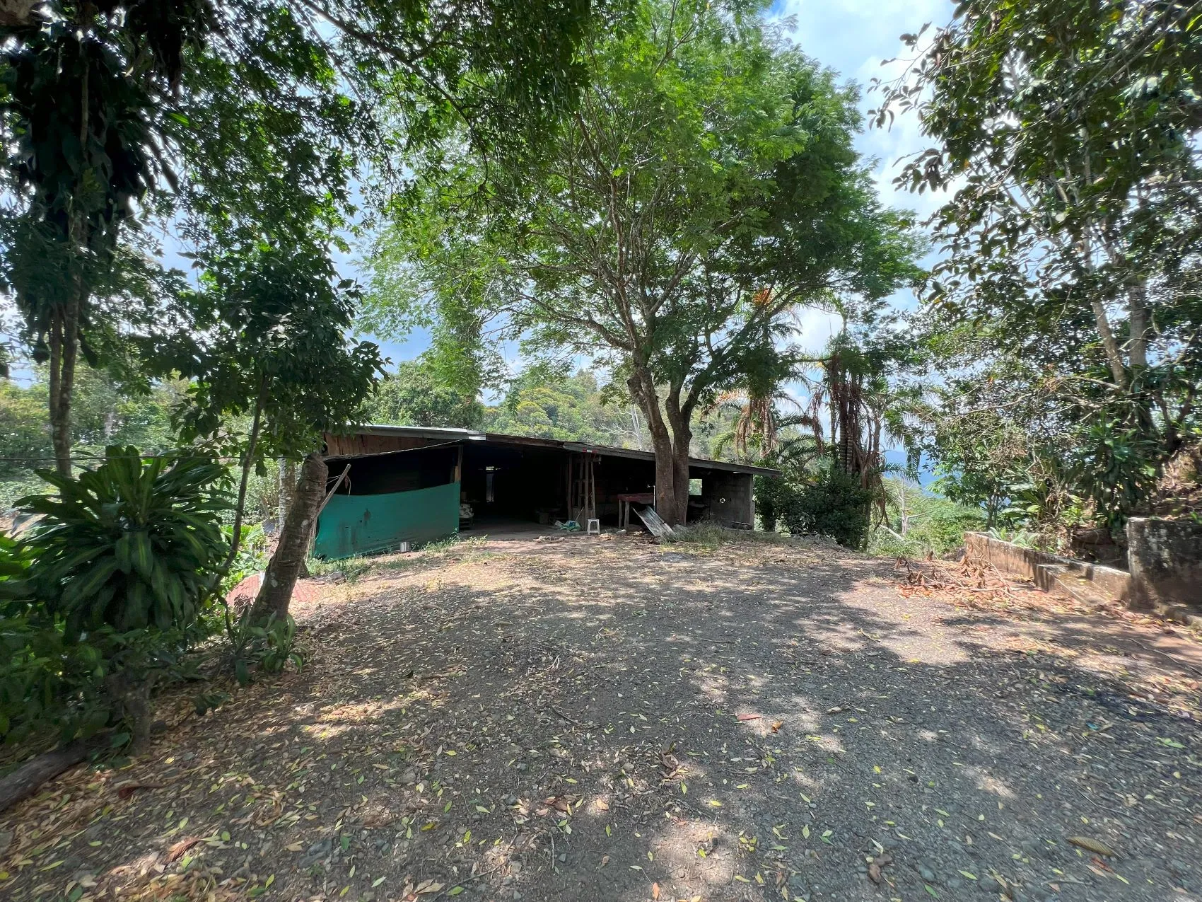 Coffe and fruit tree Finca in Puriscal - image 7