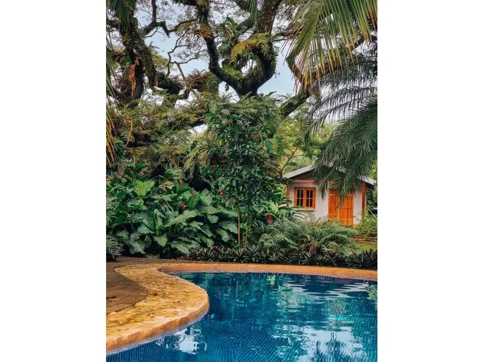  4 Apartments And 2 Houses in One!!! Playa Hermosa, Jaco - image 7