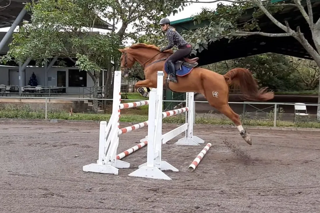 Agent Sandra Farnleitner gallery image 1