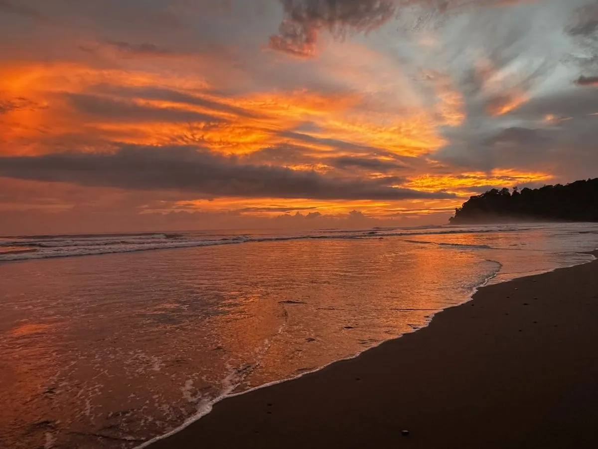 Agent Jimmy Mora Carballo gallery image 2