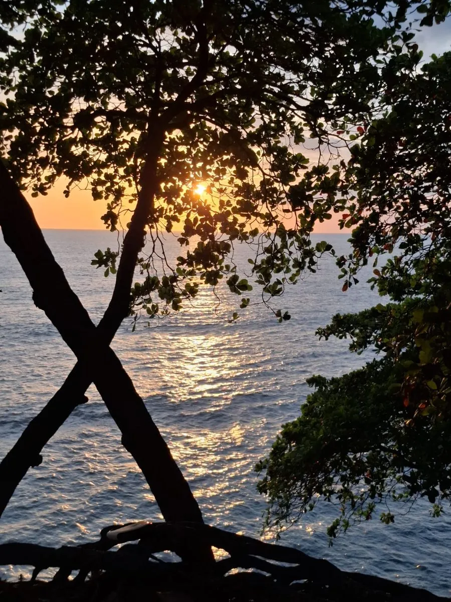 Agent Dayla Arias Fernandez gallery image 4