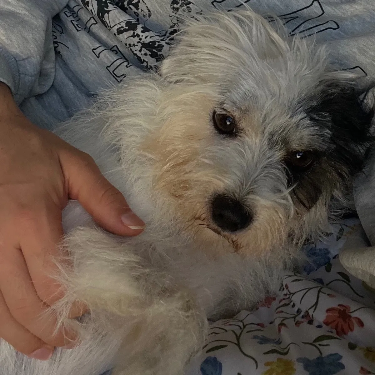 Ruben Abarca Navarro