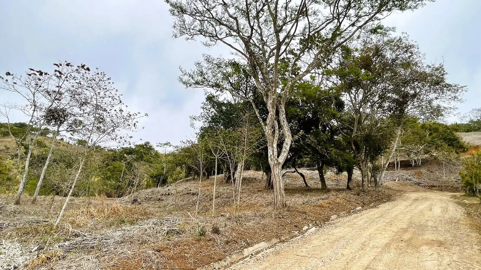 LOT FOR SALE IN SAN PEDRO, SAN RAMON - image 5