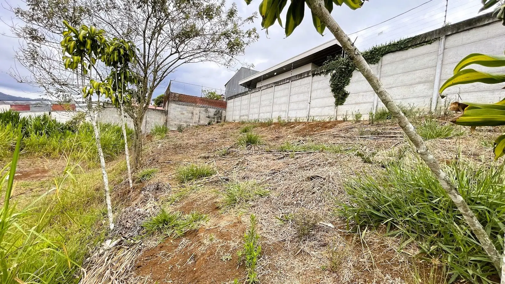 LOT FOR SALE IN SAN RAMON, ALAJUELA - image 13