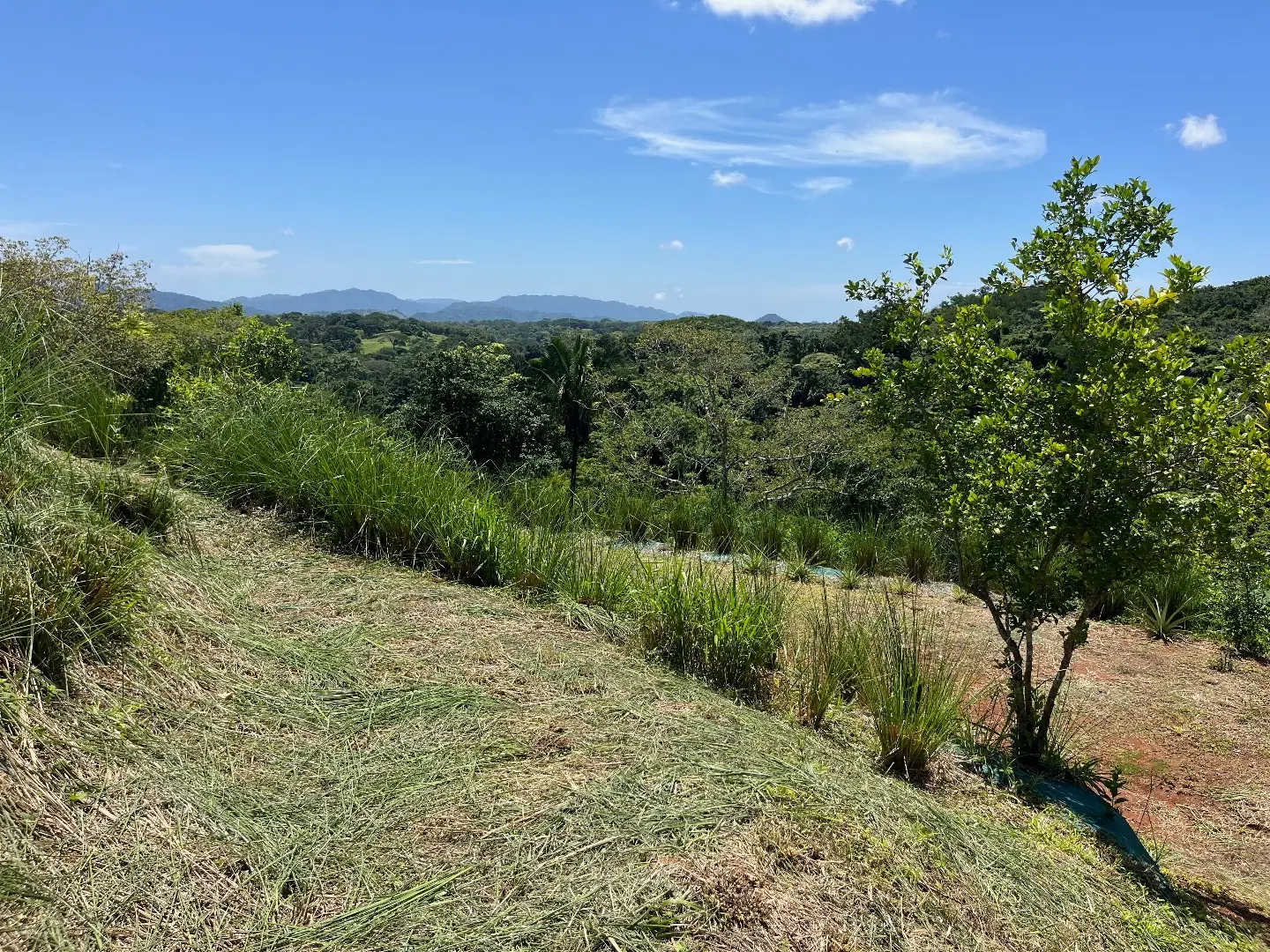 Lot with three building sites minutes to Hermosa in quiet neighborhood  - image 2