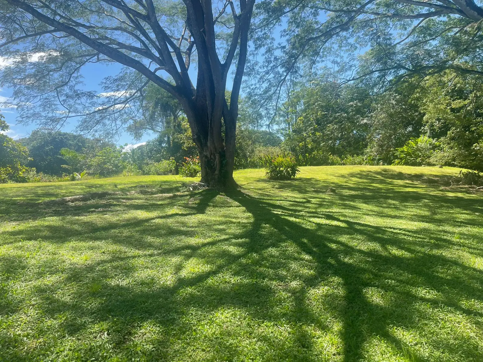 A hidden paradise in Orotina: 4,919 m² to create the life you dream of - image 4