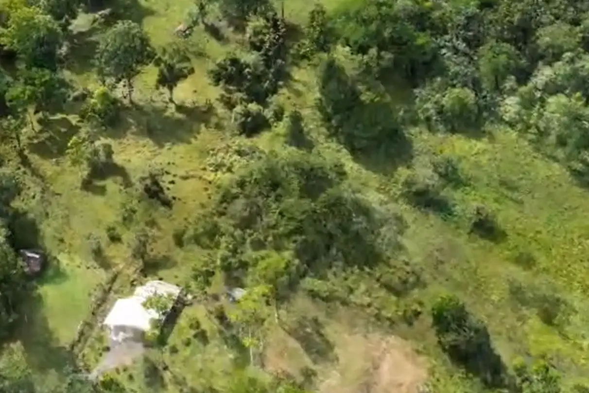 For Sale: Guapiles, Limón: Vast 6.2 Hectare Farm - image 5