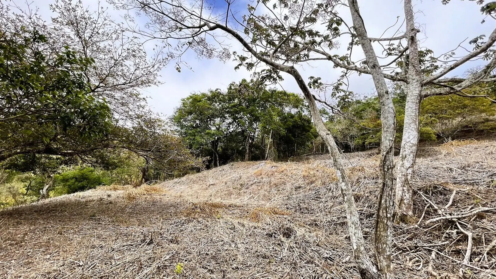 LOT FOR SALE - SAN PEDRO, SAN RAMON  - image 9