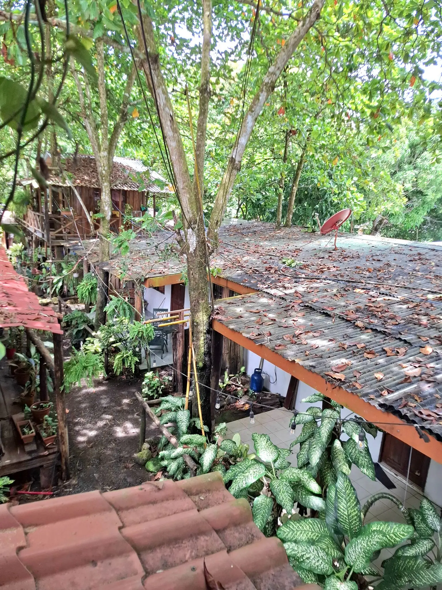 Rustic Roots, Endless Possibilities – A Surfer’s Dream Project in  Playa Hermosa, Jacó - image 3