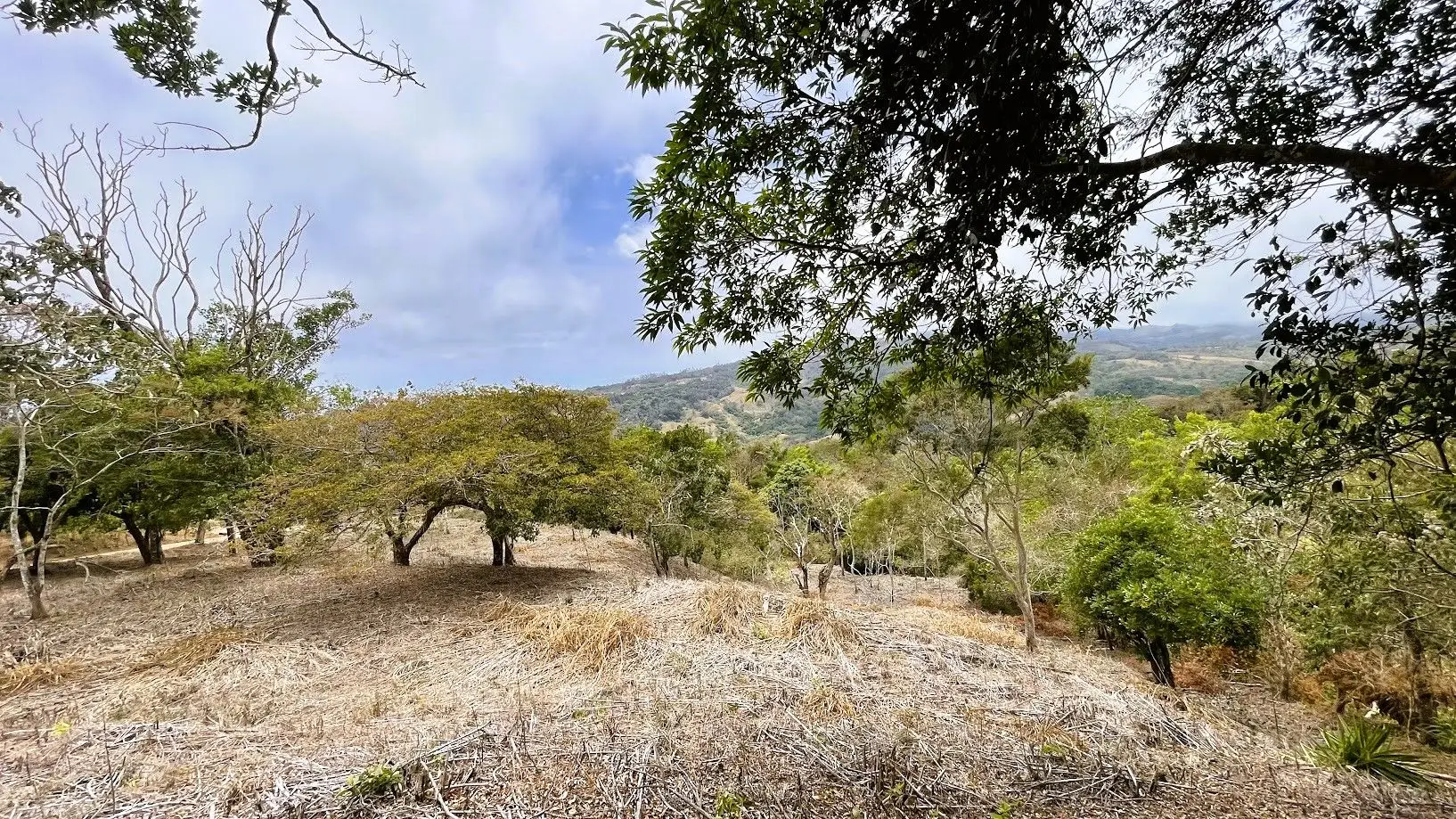 LOT FOR SALE - SAN PEDRO, SAN RAMON  - image 7