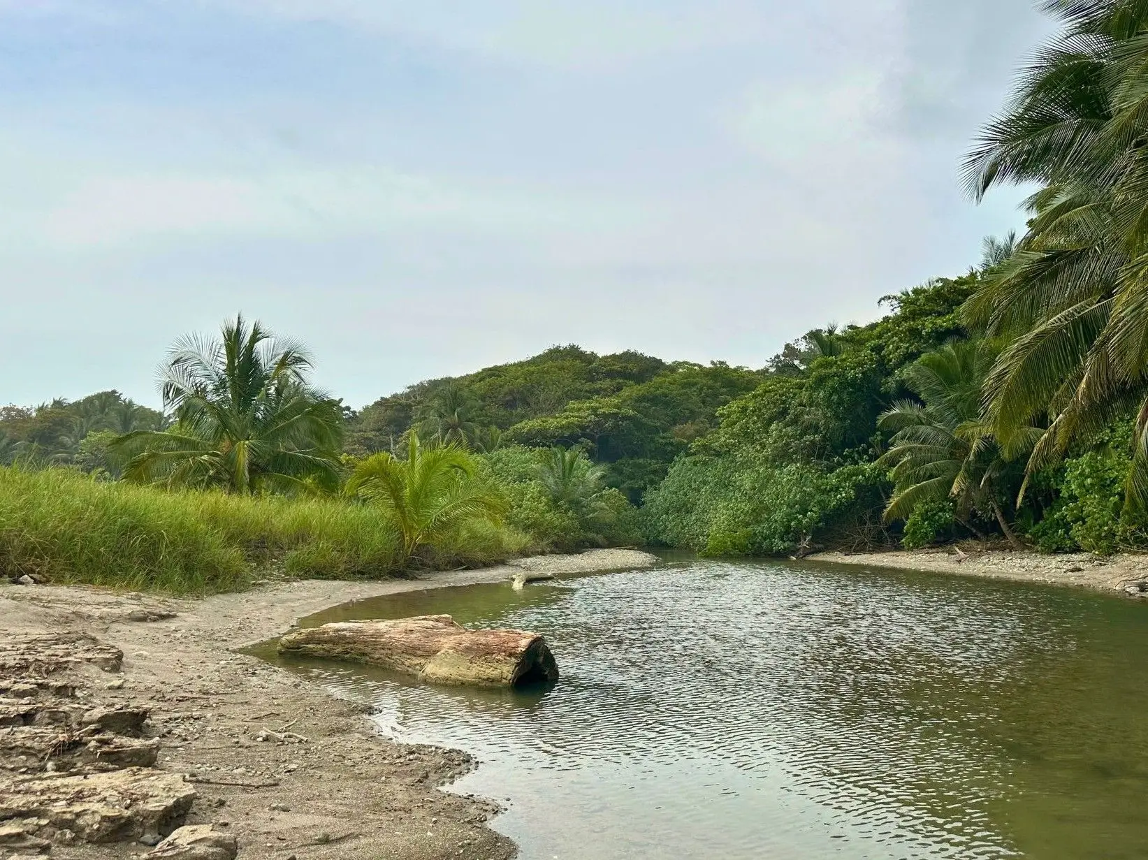 Exclusive Beach property in Playa Hermosa, Costa Rica – ready for a luxury villa or boutique hotel, with direct beach access and permits in place. - image 14
