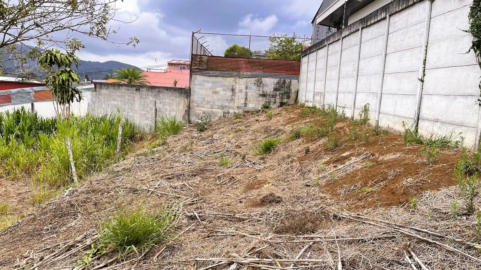 LOT FOR SALE IN SAN RAMON, ALAJUELA - image 7