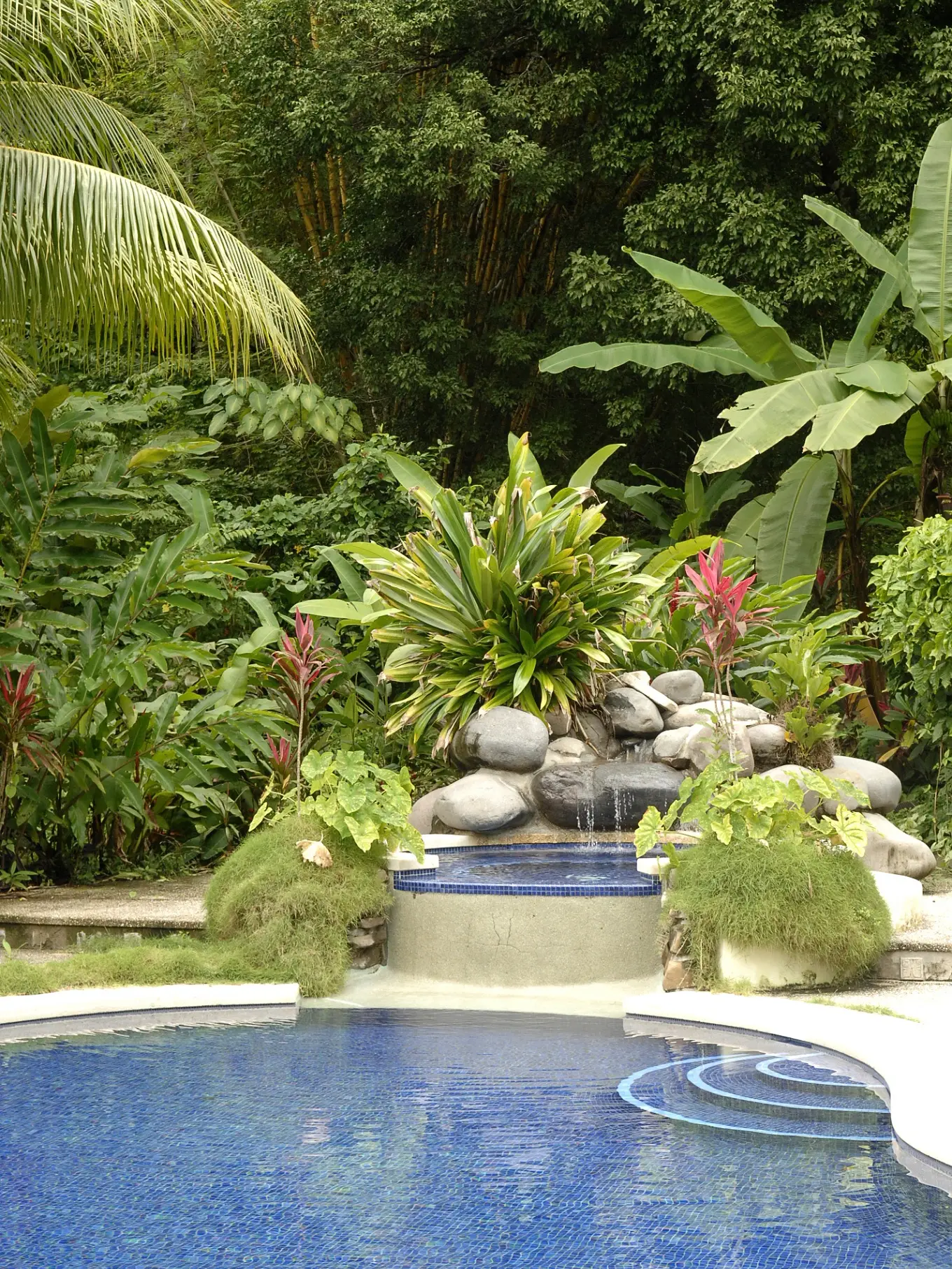 Nearly 90 Hectares of Untouched Jungle Beauty with Stunning Ocean Views, Steps from the Beach in Costa Rica’s Blue Zone. - image 5