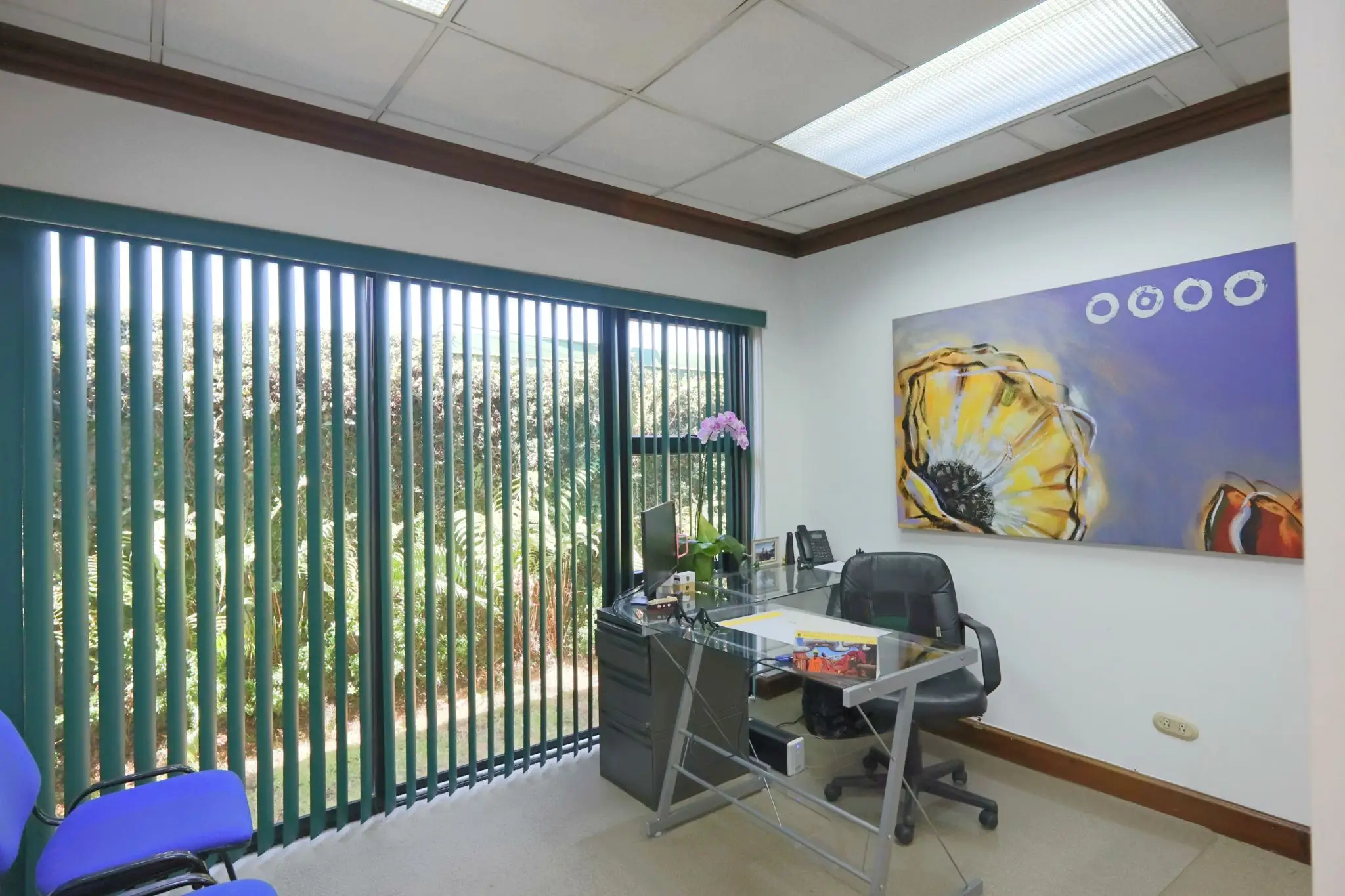 For Sale: 12-Office  Building in Prime in Los Anonos Escazú - image 9