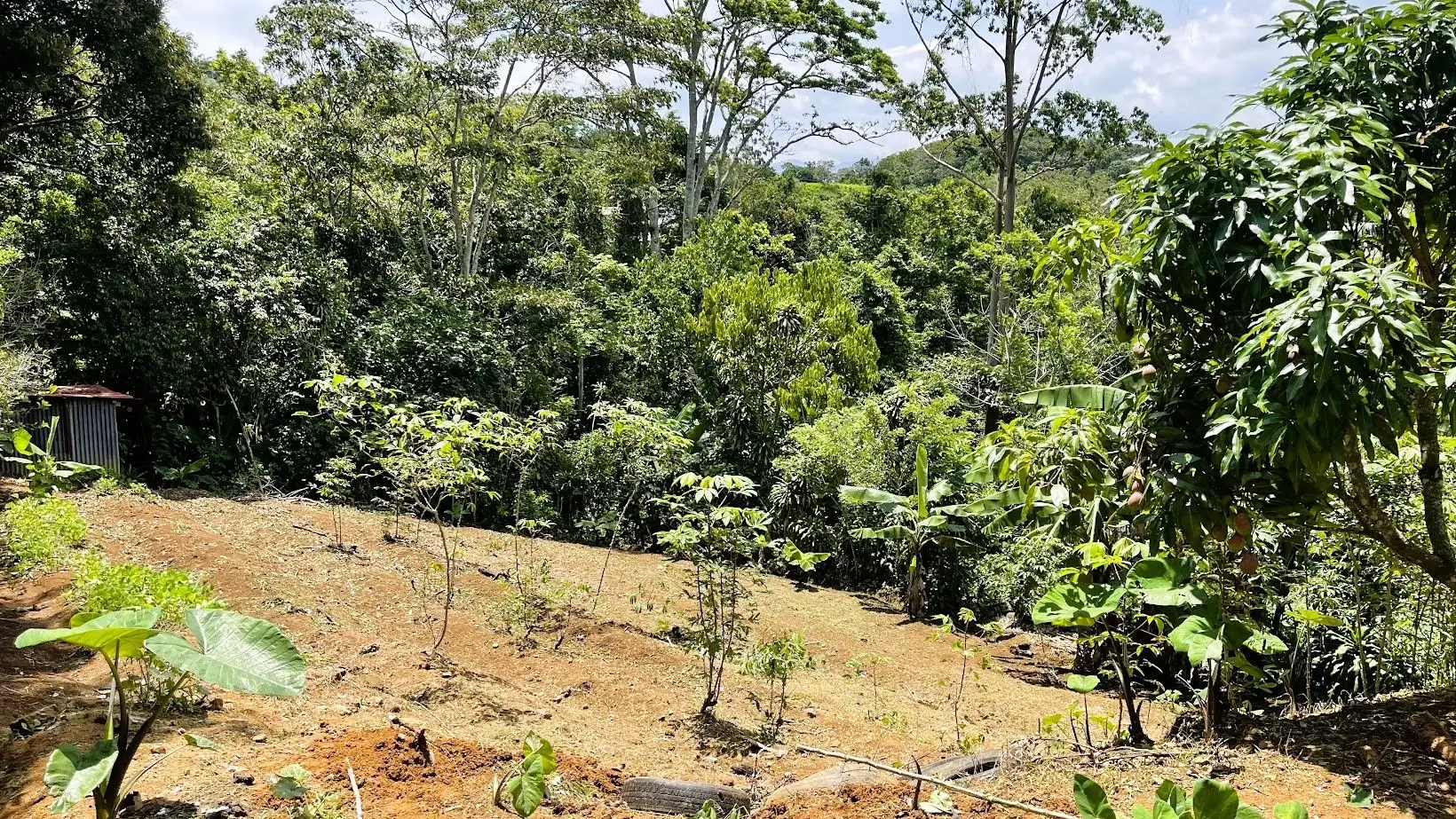 LOT FOR SALE IN ZARAGOZA, PALMARES  - image 4