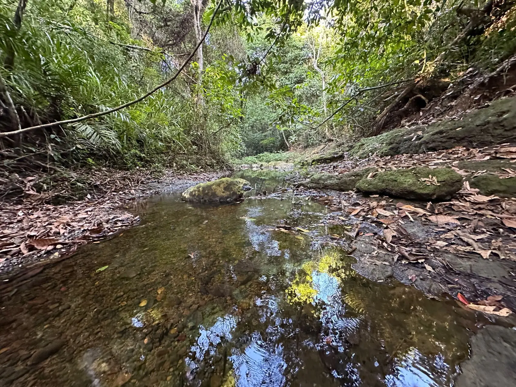 Exceptional 32-Hectare Finca for Sale Near Santa Teresa, Costa Rica – $12.50/m² - image 8