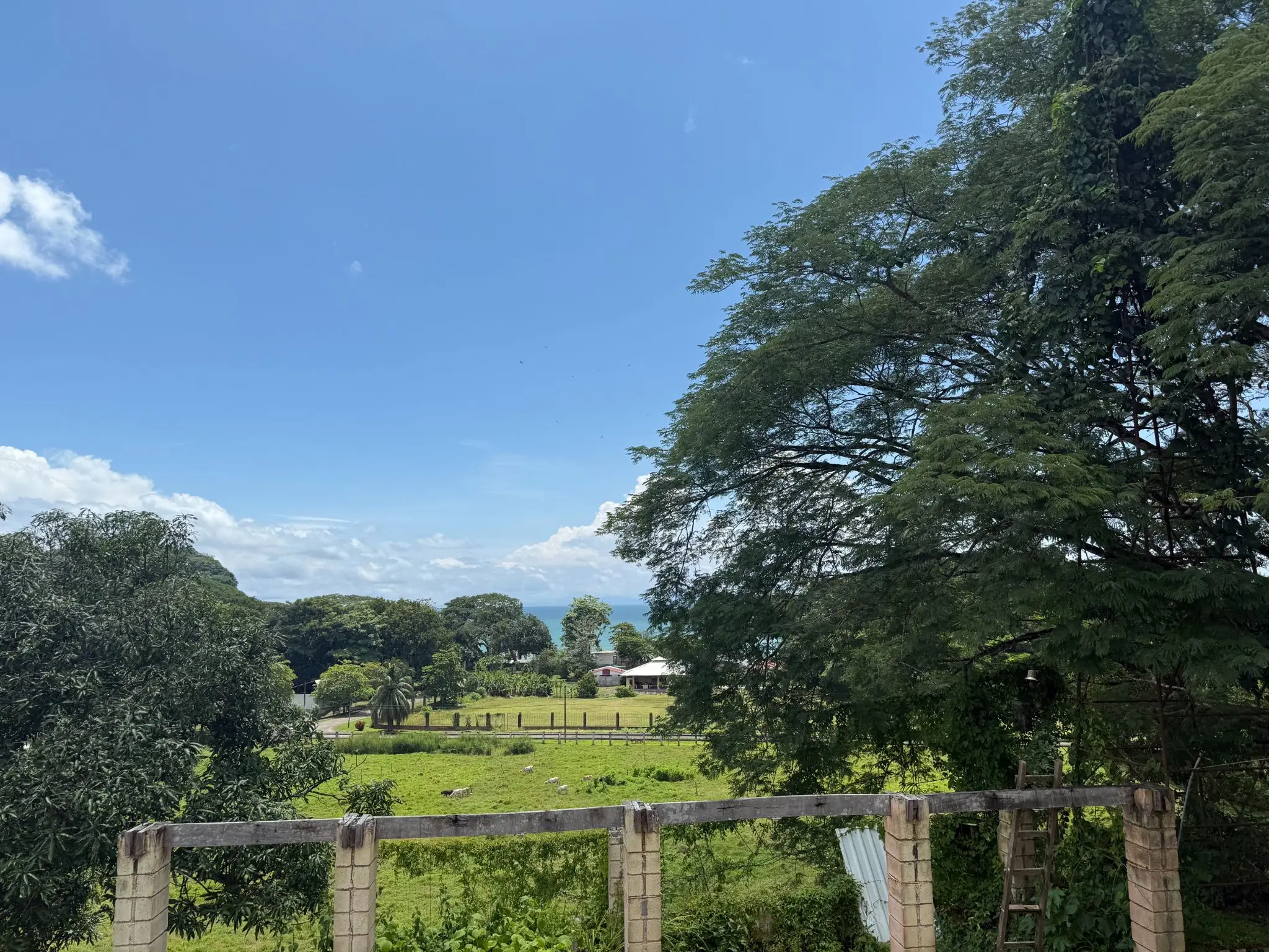 Playa Agujas Premier Ocean-View Development Parcel: 5.1 Hectares in Costa Rica's Garabito Coast - image 15