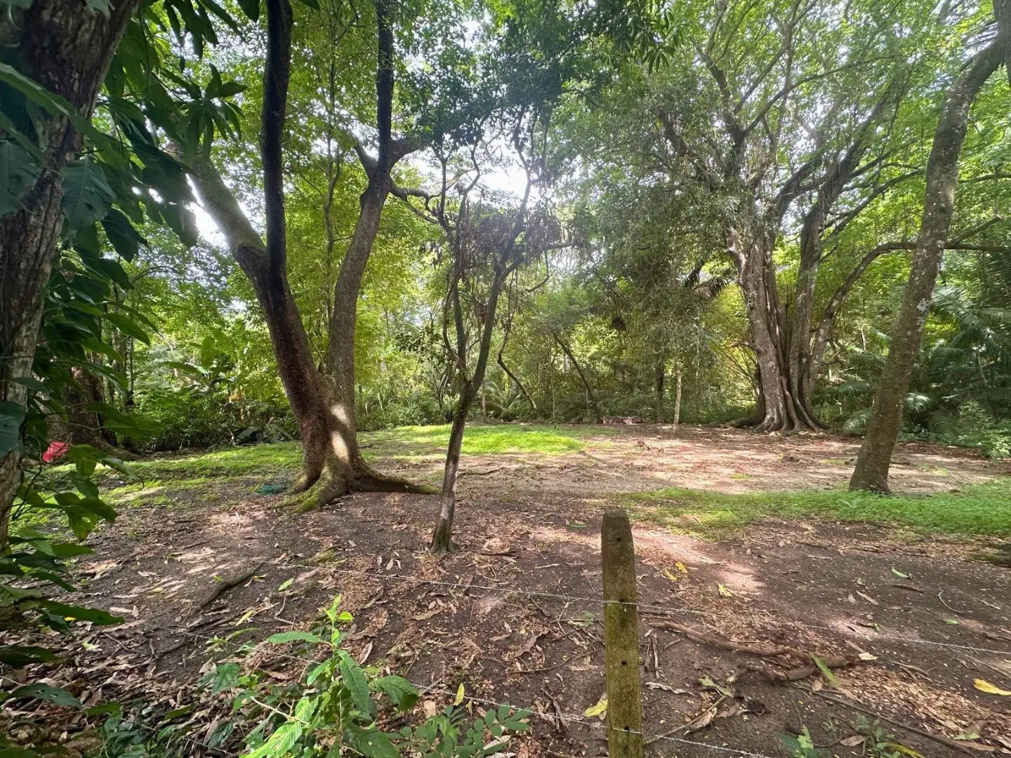 Exclusive Beach property in Playa Hermosa, Costa Rica – ready for a luxury villa or boutique hotel, with direct beach access and permits in place. - image 9