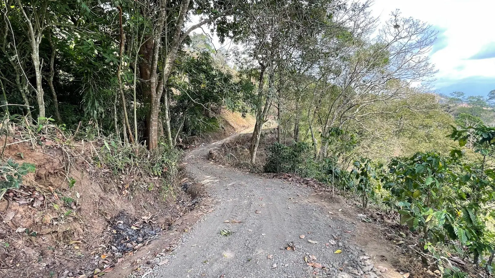 LAND FOR SALE IN ATENAS, ALAJUELA  - image 13