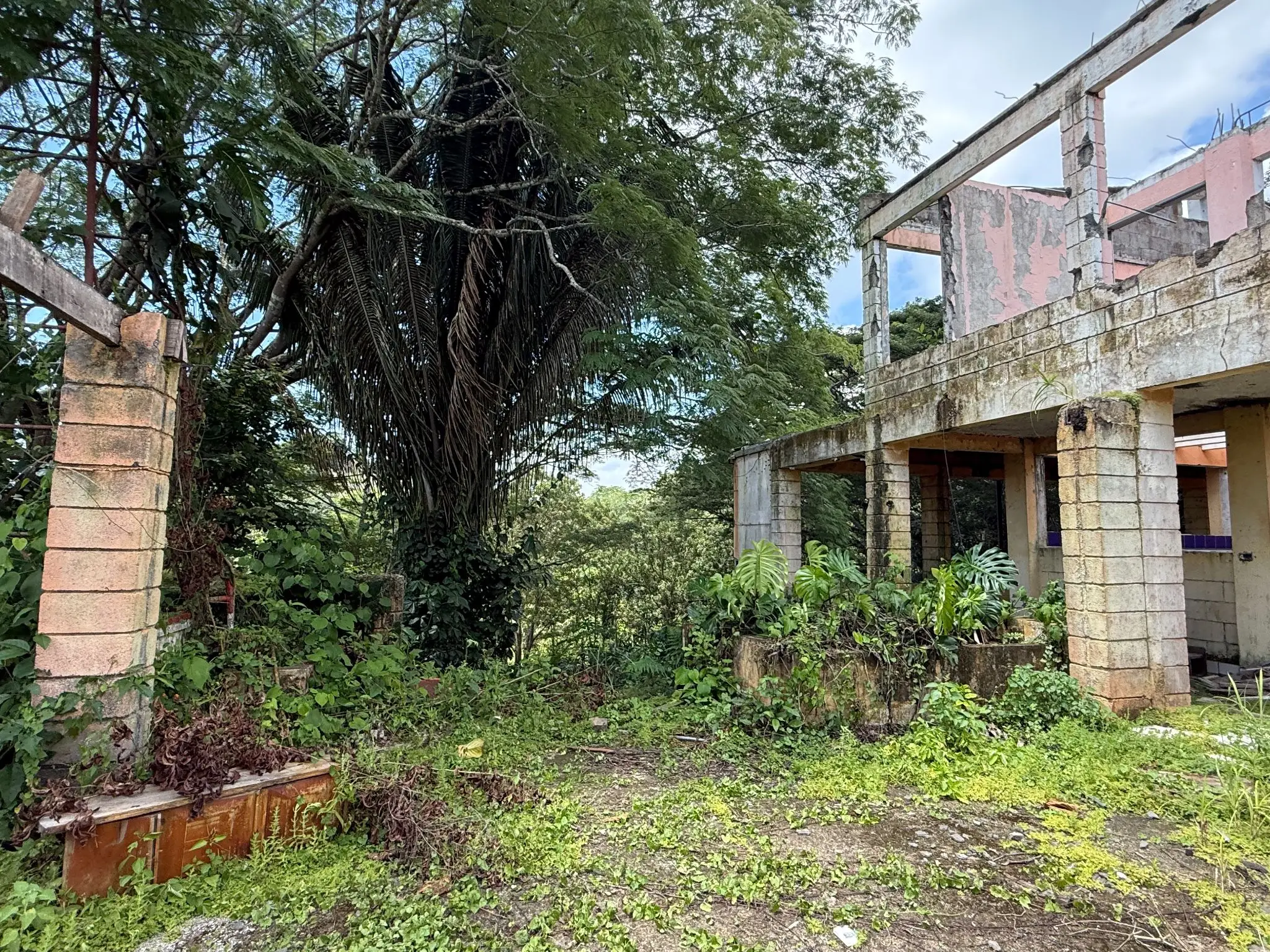 Playa Agujas Premier Ocean-View Development Parcel: 5.1 Hectares in Costa Rica's Garabito Coast - image 7