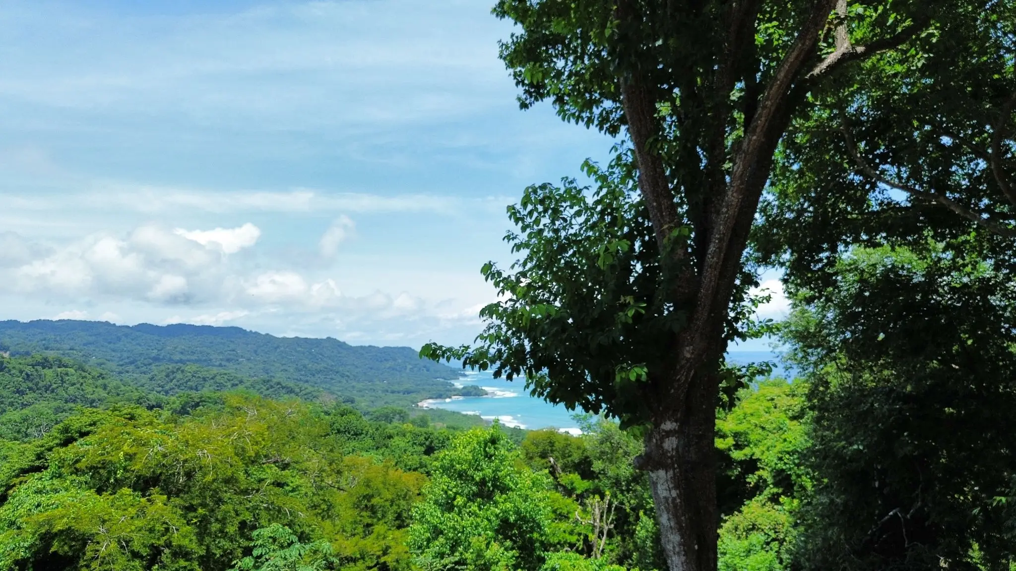 Build Your Dream Villa in Santa Teresa – Prime 1.181.5 m² Lot with Ocean view - image 2