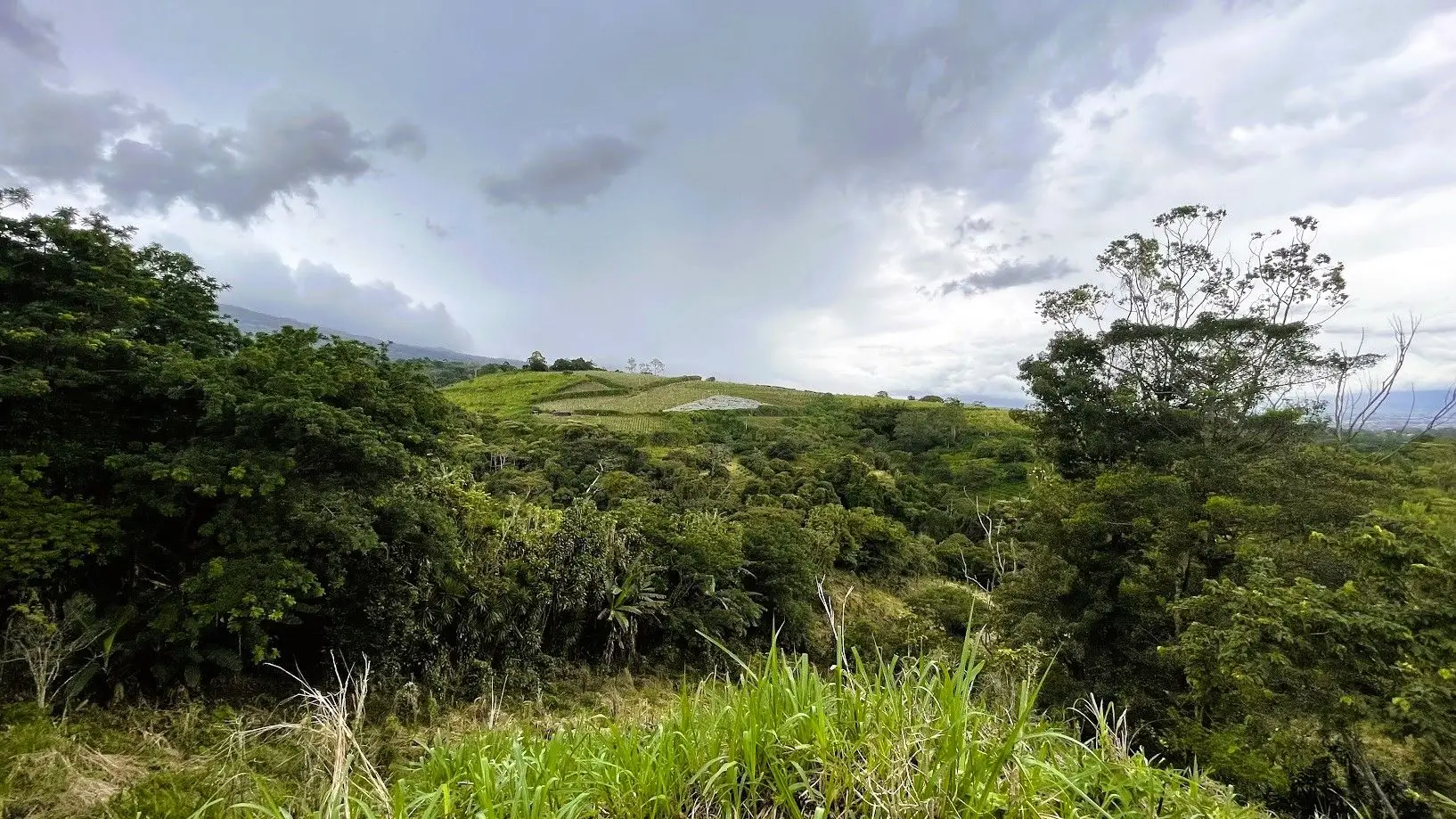 LAND WITH A HOUSE IN CARRIZAL, ALAJUELA - image 2