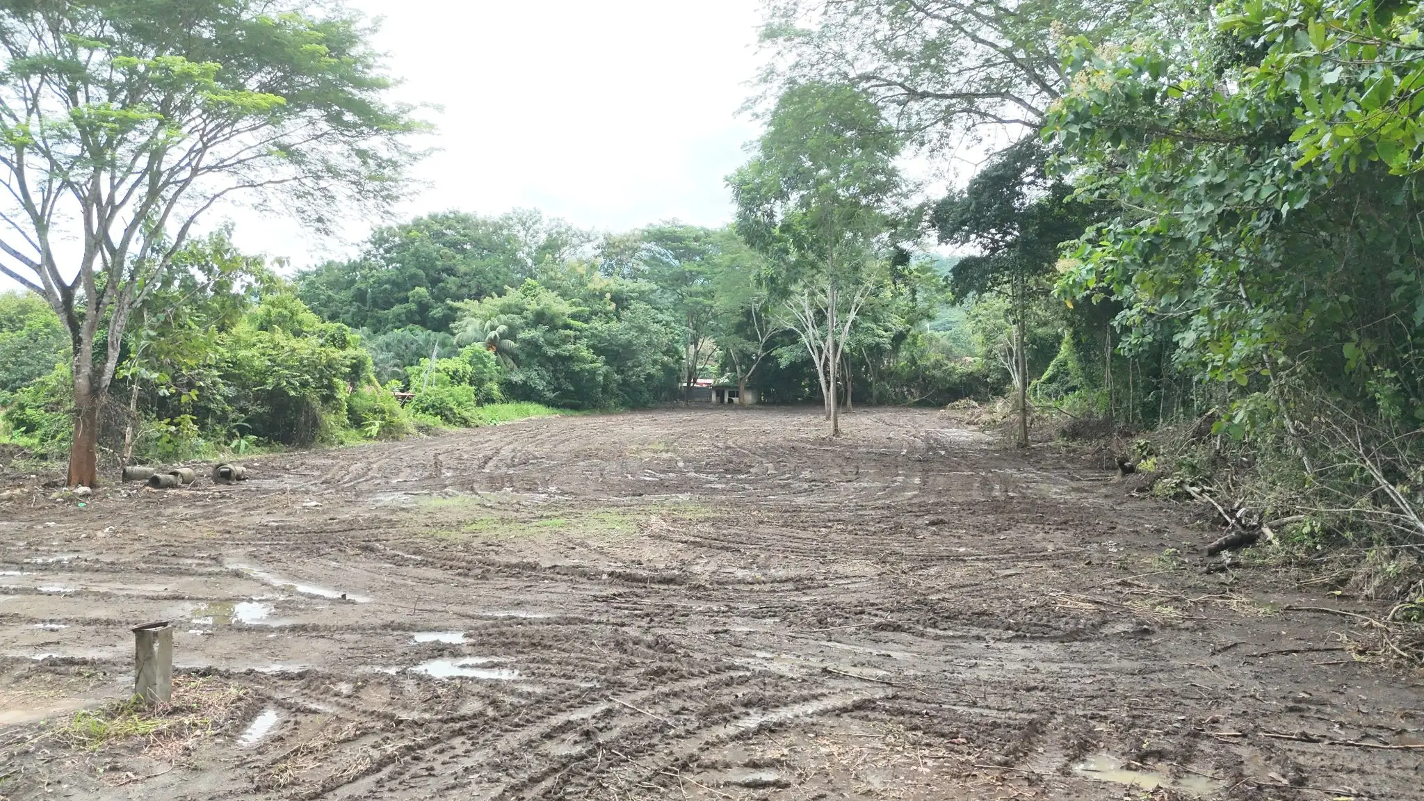 Prime Land for Sale in Tárcoles, Costa Rica - Ideal Development Opportunity! - image 7