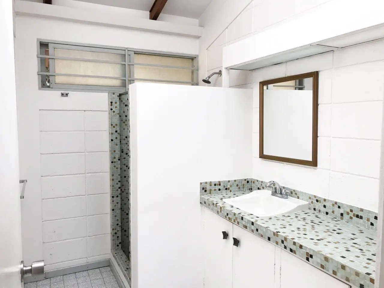 Spacious 4-Bed House for Rent in Santa Marta, Curridabat / Beautiful garden - image 6