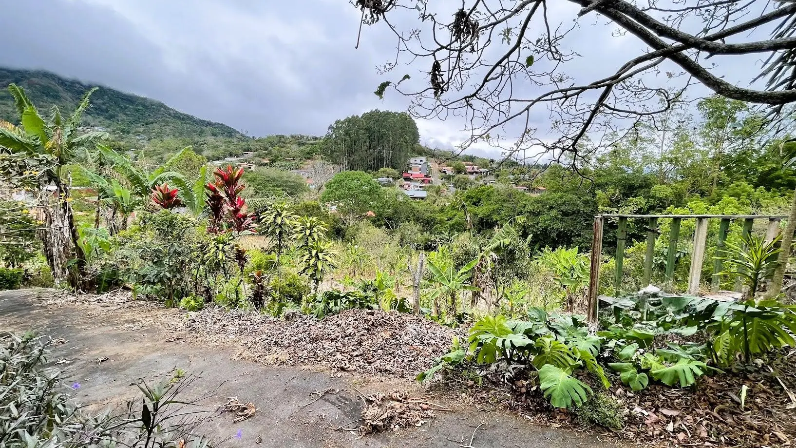 LOT WITH HOUSE FOR SALE IN ZARAGOZA, PALMARES - image 7