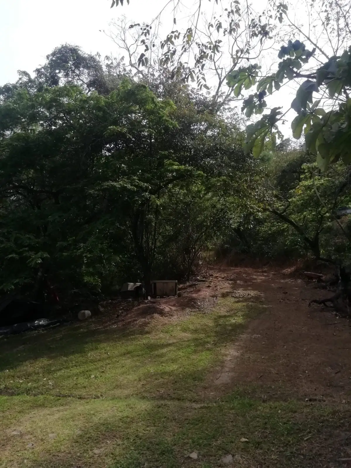 Beautiful lot in Santa Ana for a Developer - image 5