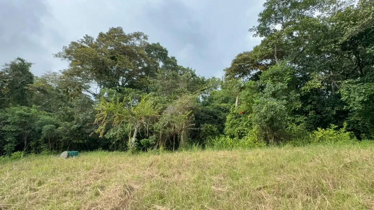 6,179 m² mixed-use land  in Delicias, minutes from  Montezuma and Santa Teresa - image 7