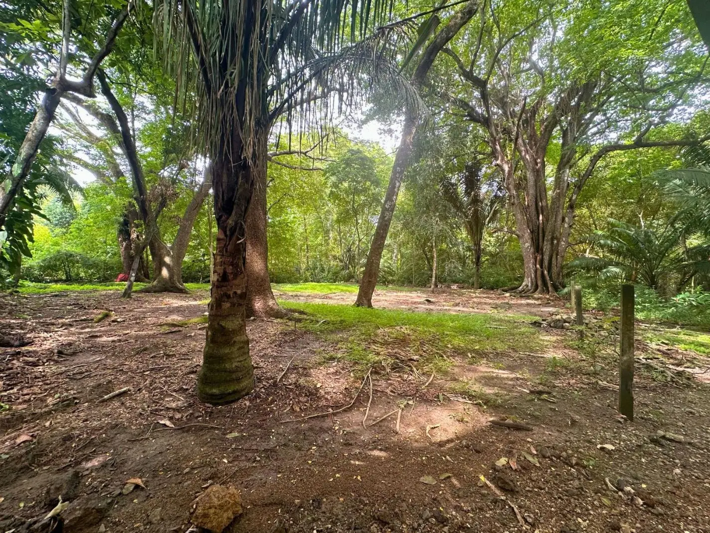 Exclusive Beach property in Playa Hermosa, Costa Rica – ready for a luxury villa or boutique hotel, with direct beach access and permits in place. - image 10